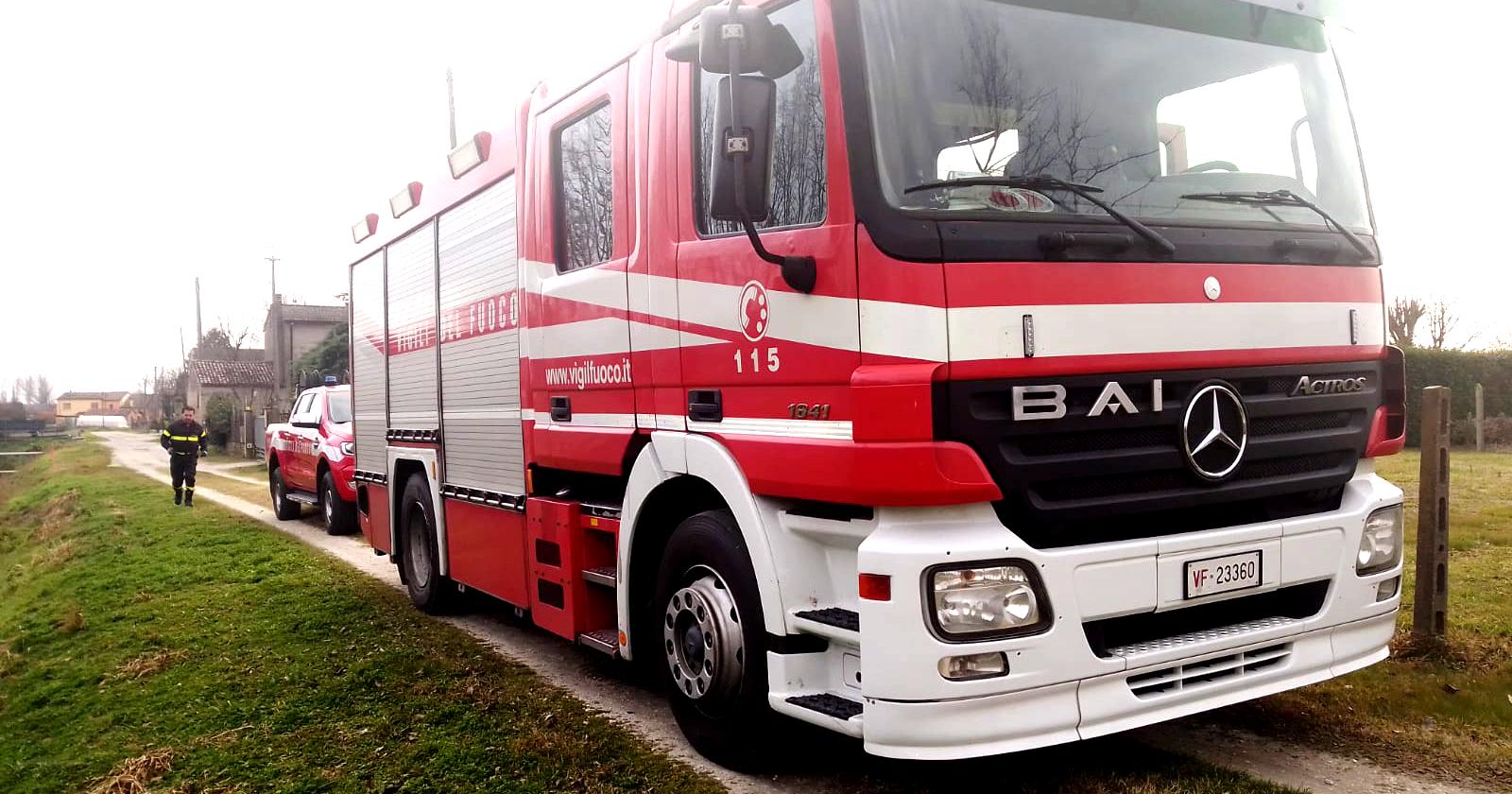 La padrona muore, 13 cani chiusi in casa per giorni