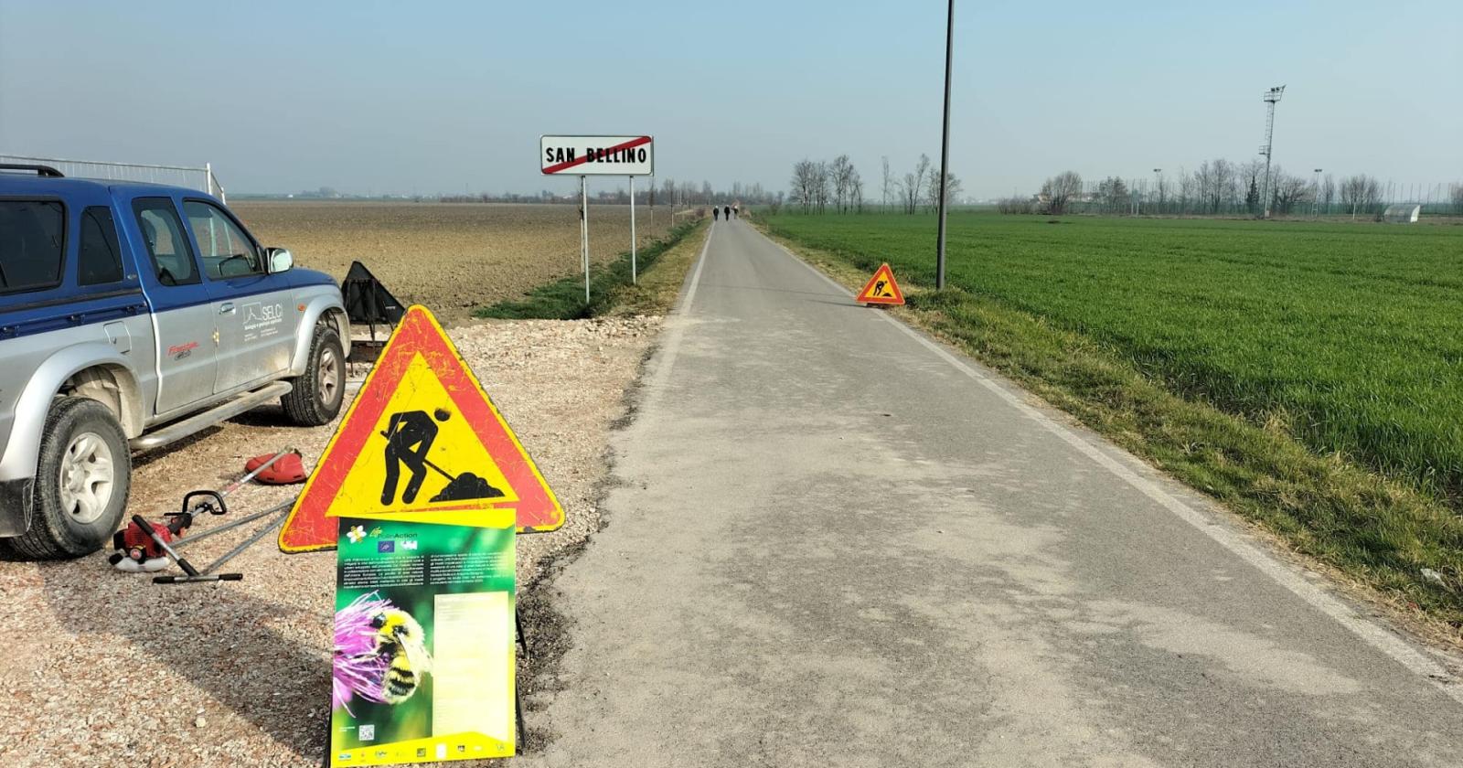 Piantati 15mila fiori per salvare le api