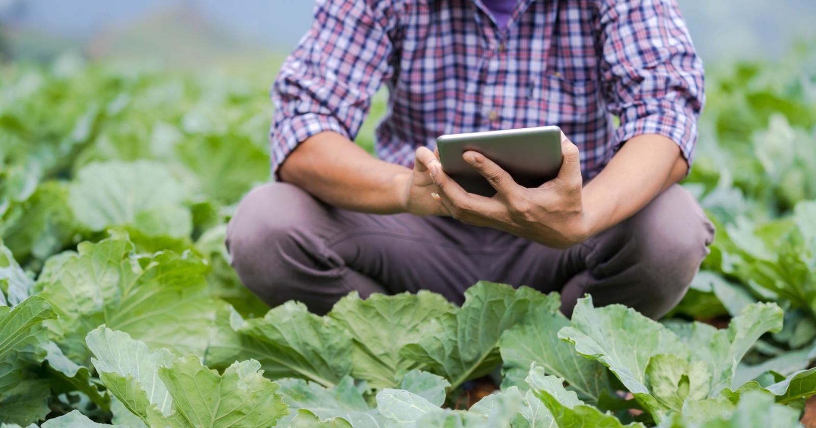 Smart country, progetto per il futuro digitale delle aziende