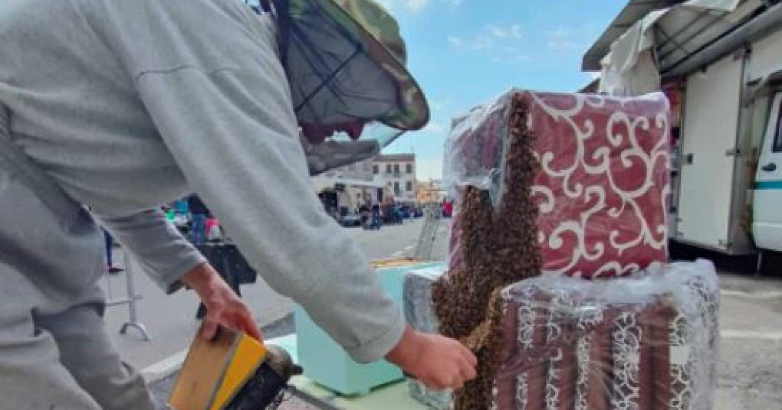Sciame d'api tra le bancarelle terrorizza il mercato