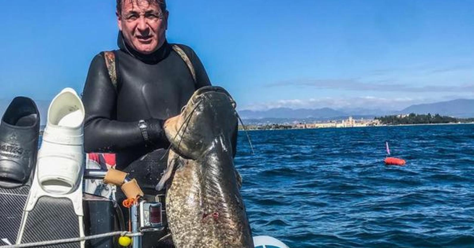 Il pesce siluro ha invaso il lago di Garda