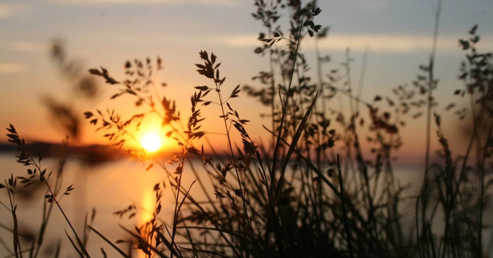 Una rete di Comuni lungo il fiume Po