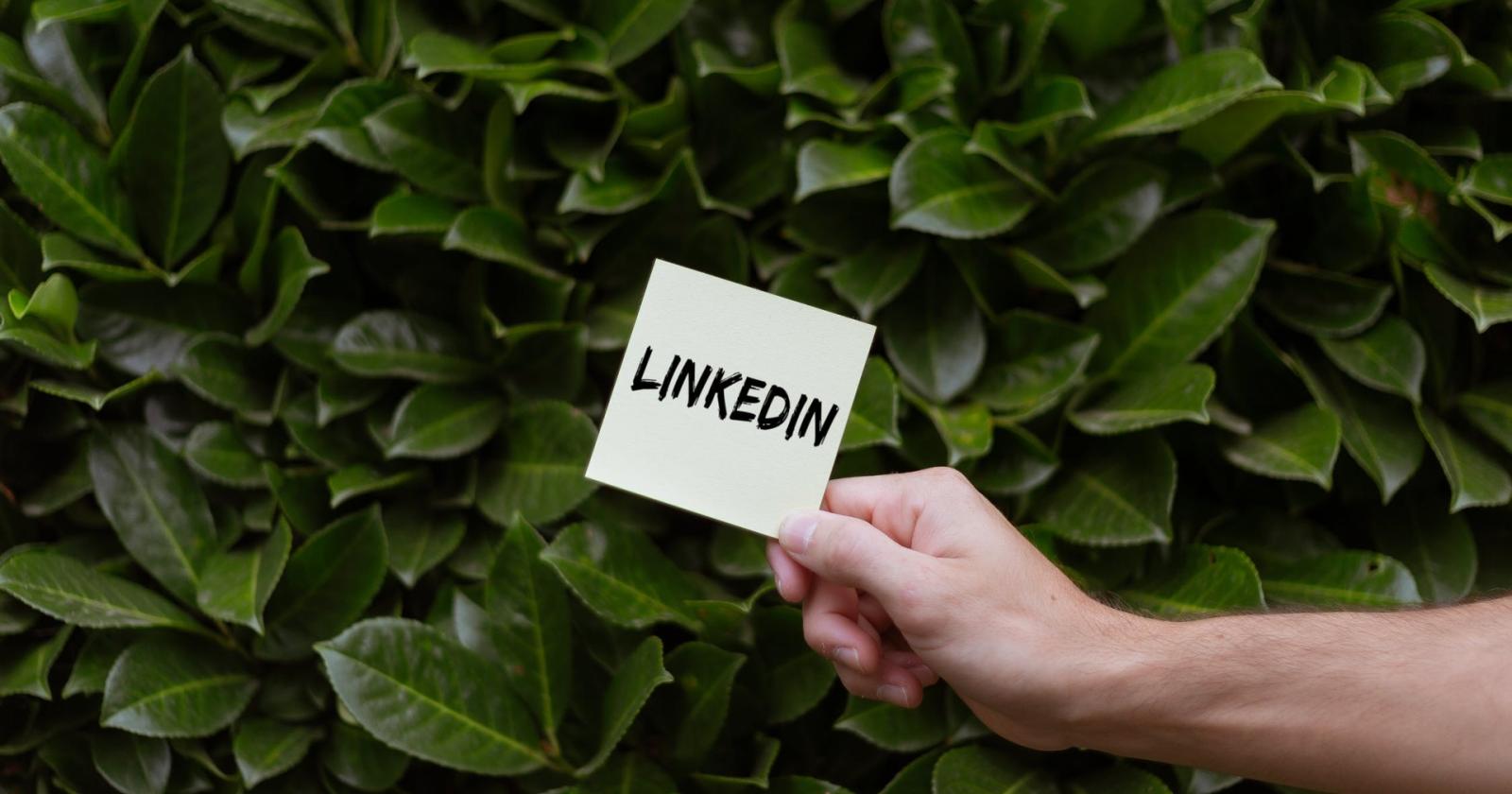 I segreti di Linkedin spiegati in banca