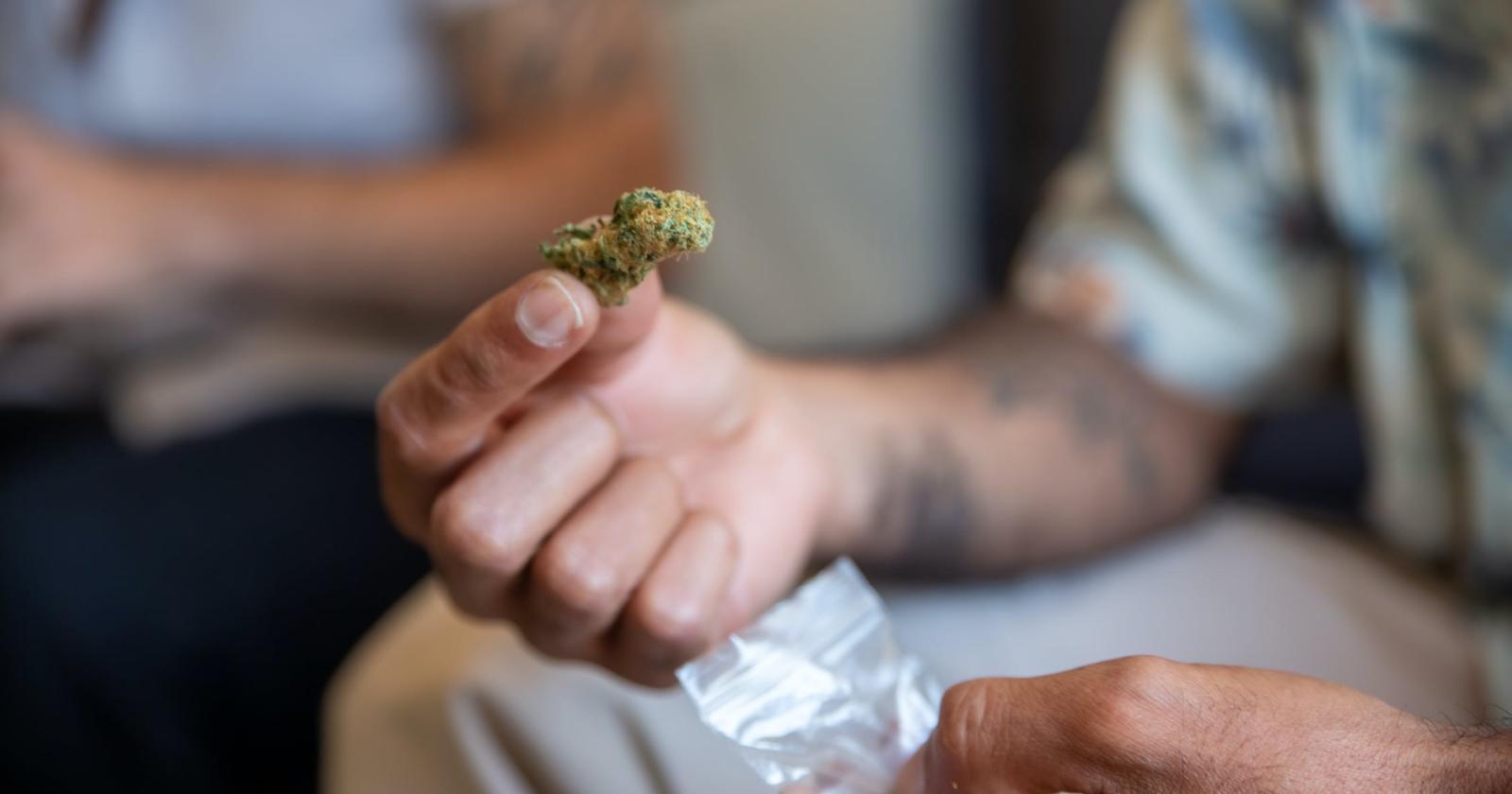 Studente 16enne trovato con la marijuana