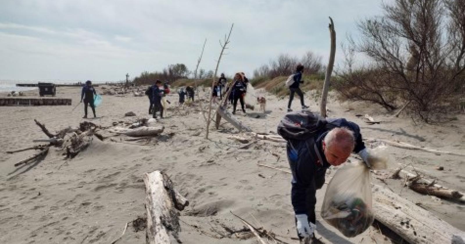 Orrore: delfino "al guinzaglio" trovato morto sulla spiaggia