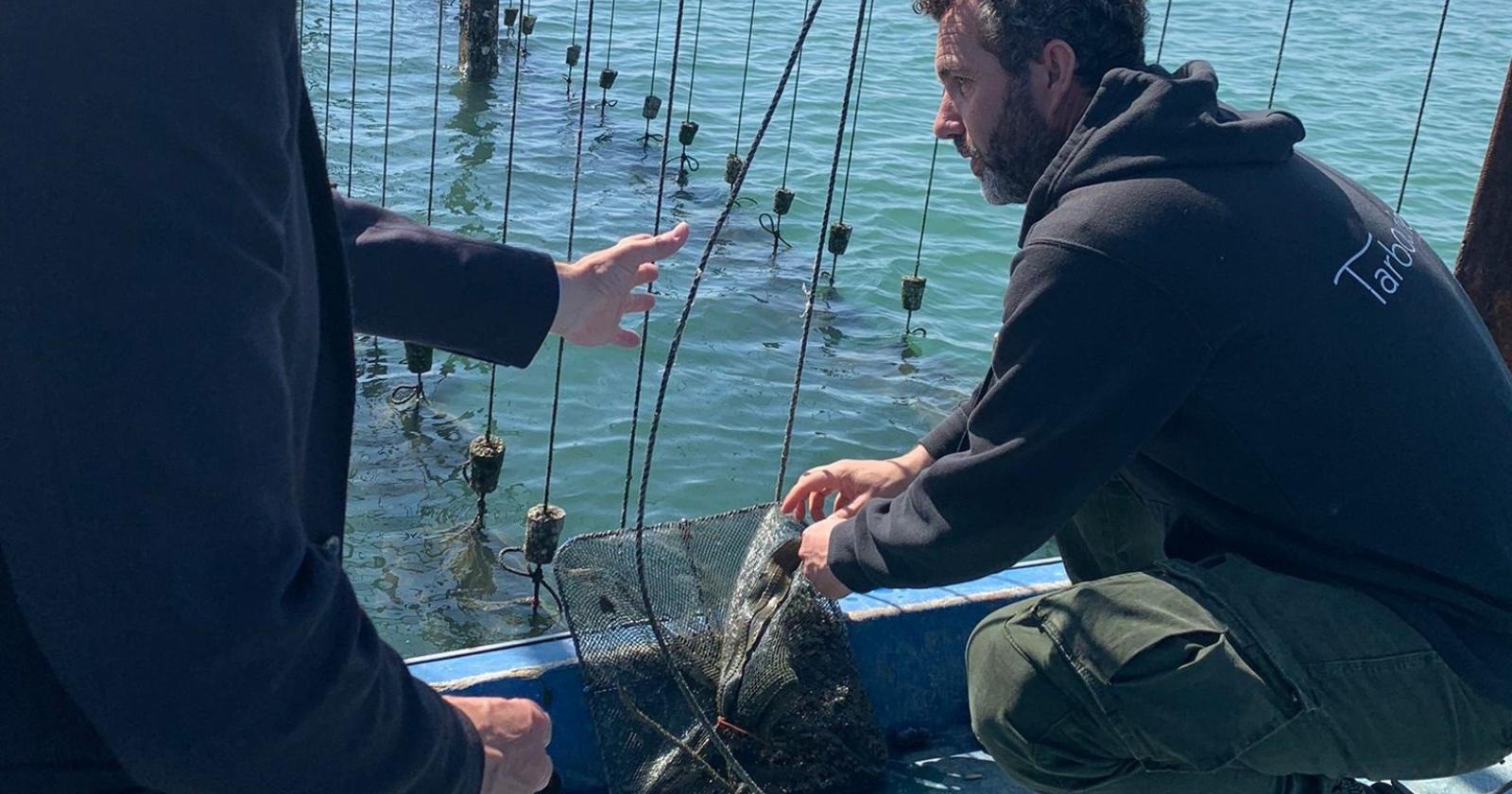 Cozze e vongole muoiono in attesa degli scavi alla bocca della Sacca