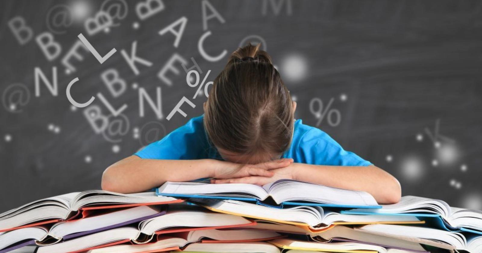 “Campus dislessia” con il ranch Arcobaleno 