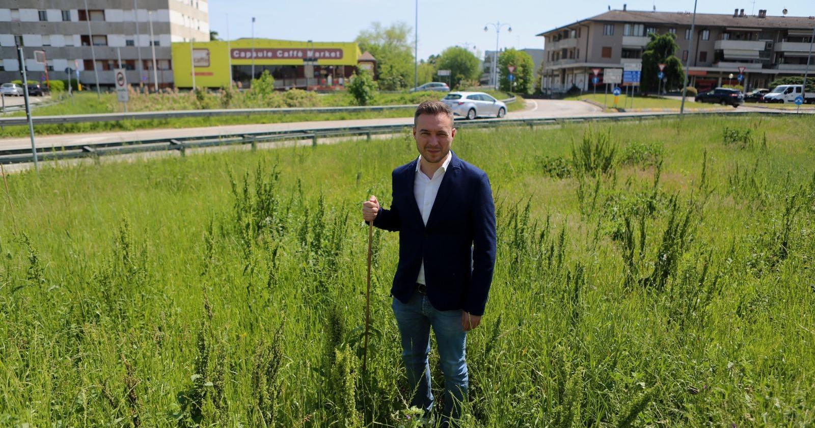 "Inaccettabile lasciare morire gli alberi appena piantati"