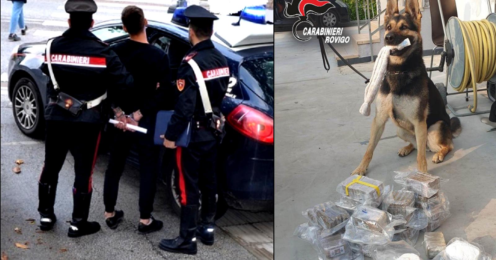 Se c'è lui, il pusher non ha scampo