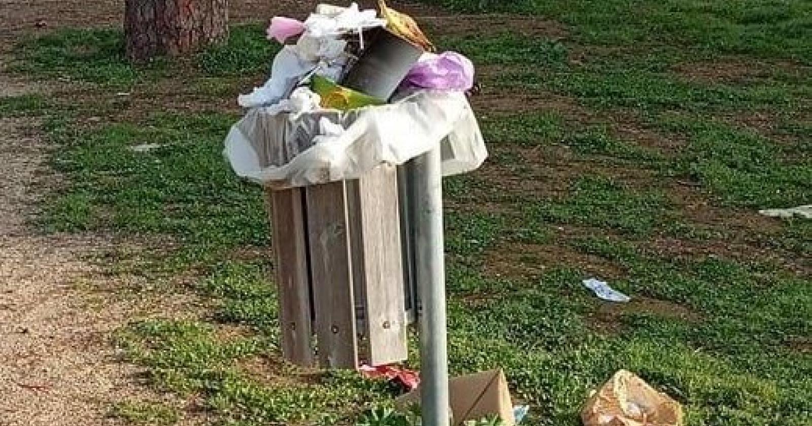 Cestini anche per i nostri amici