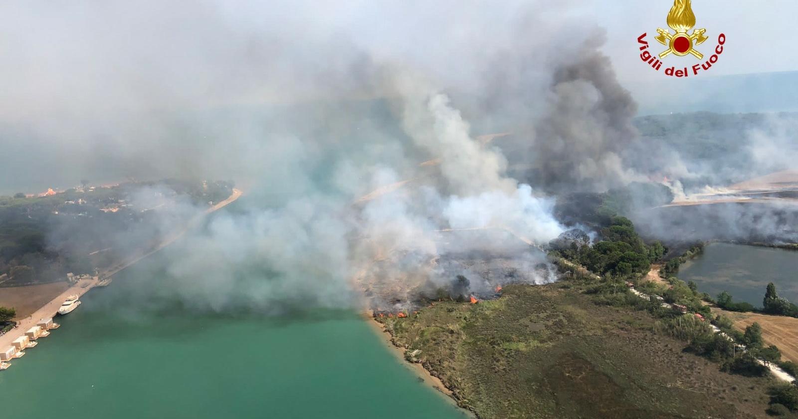 Enorme incendio tra il campo di mais e la pineta: mobilitati i pompieri di mezzo Nordest