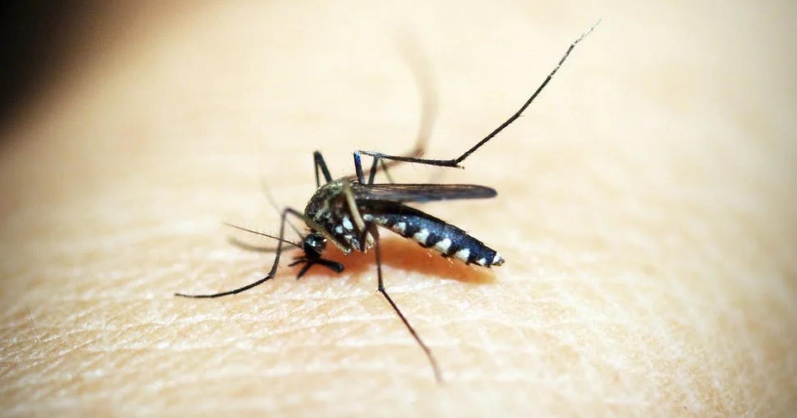 West Nile, medici presi d’assalto