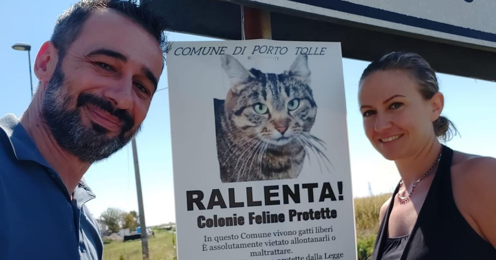 “Rallenta, attenti al... gatto”