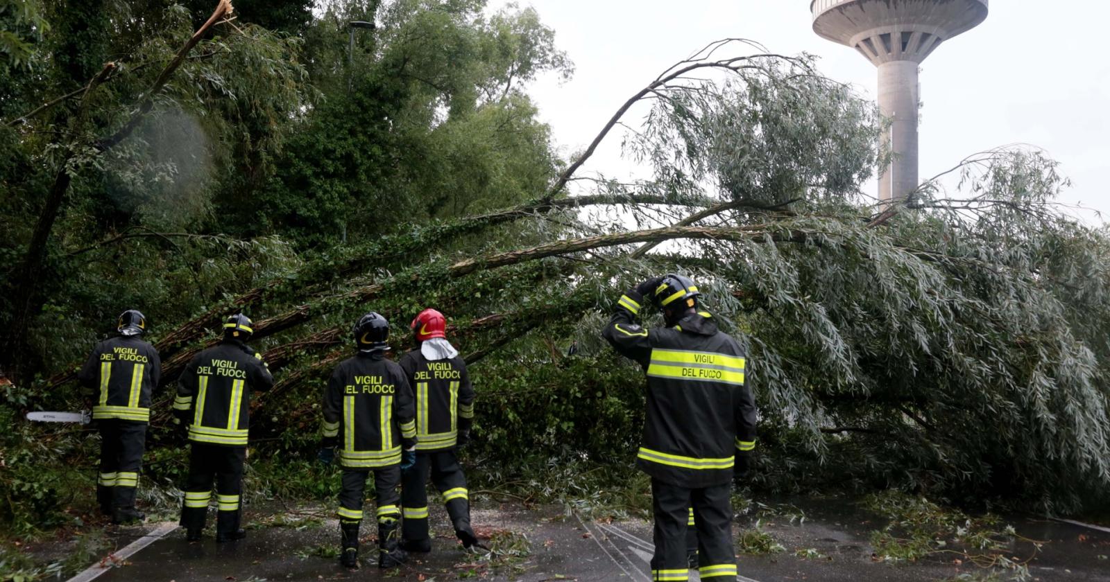 Violento nubifragio, allagamenti e alberi abbattuti