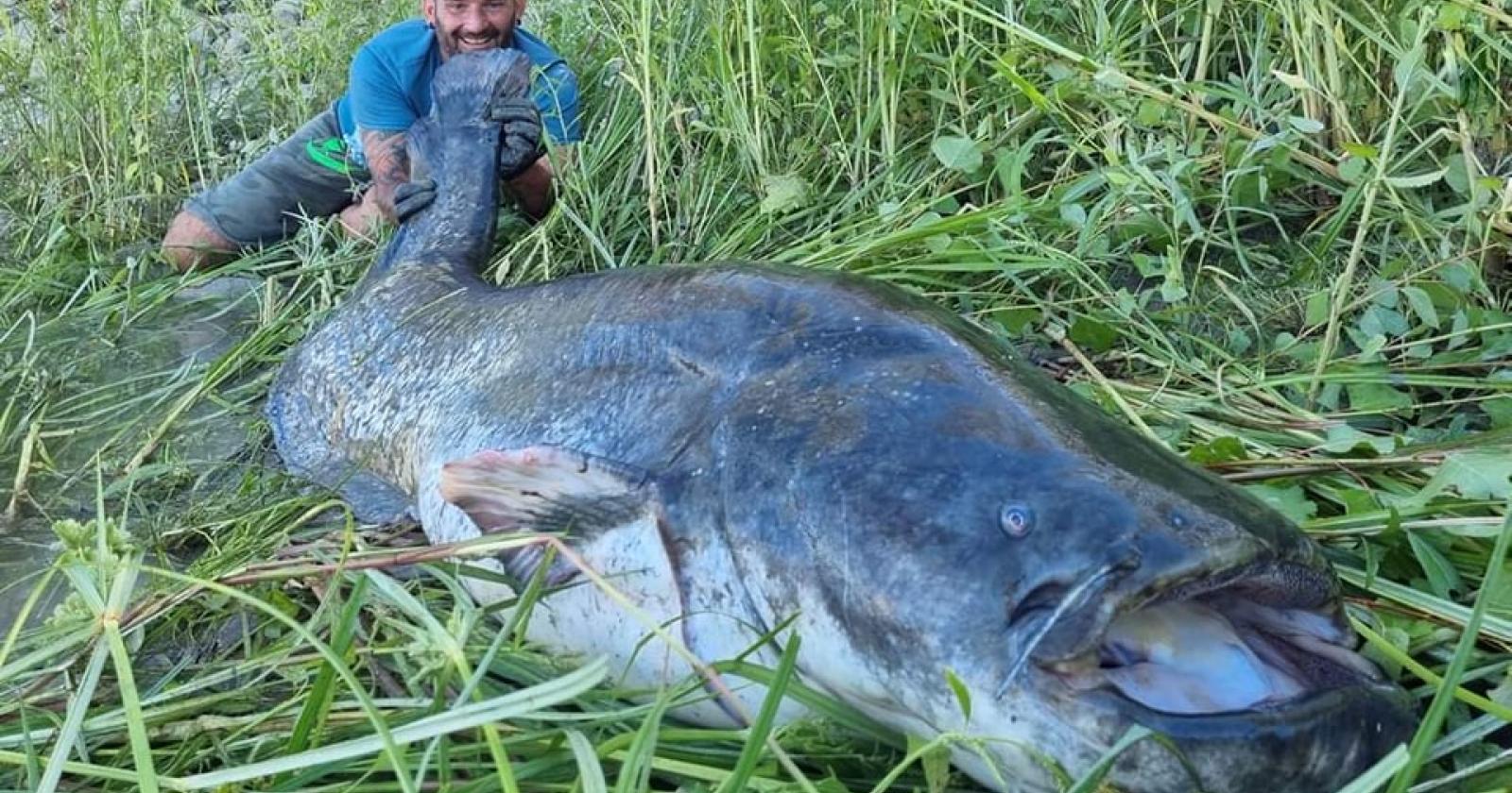 Il mostro del Po alla lenza del Diablo