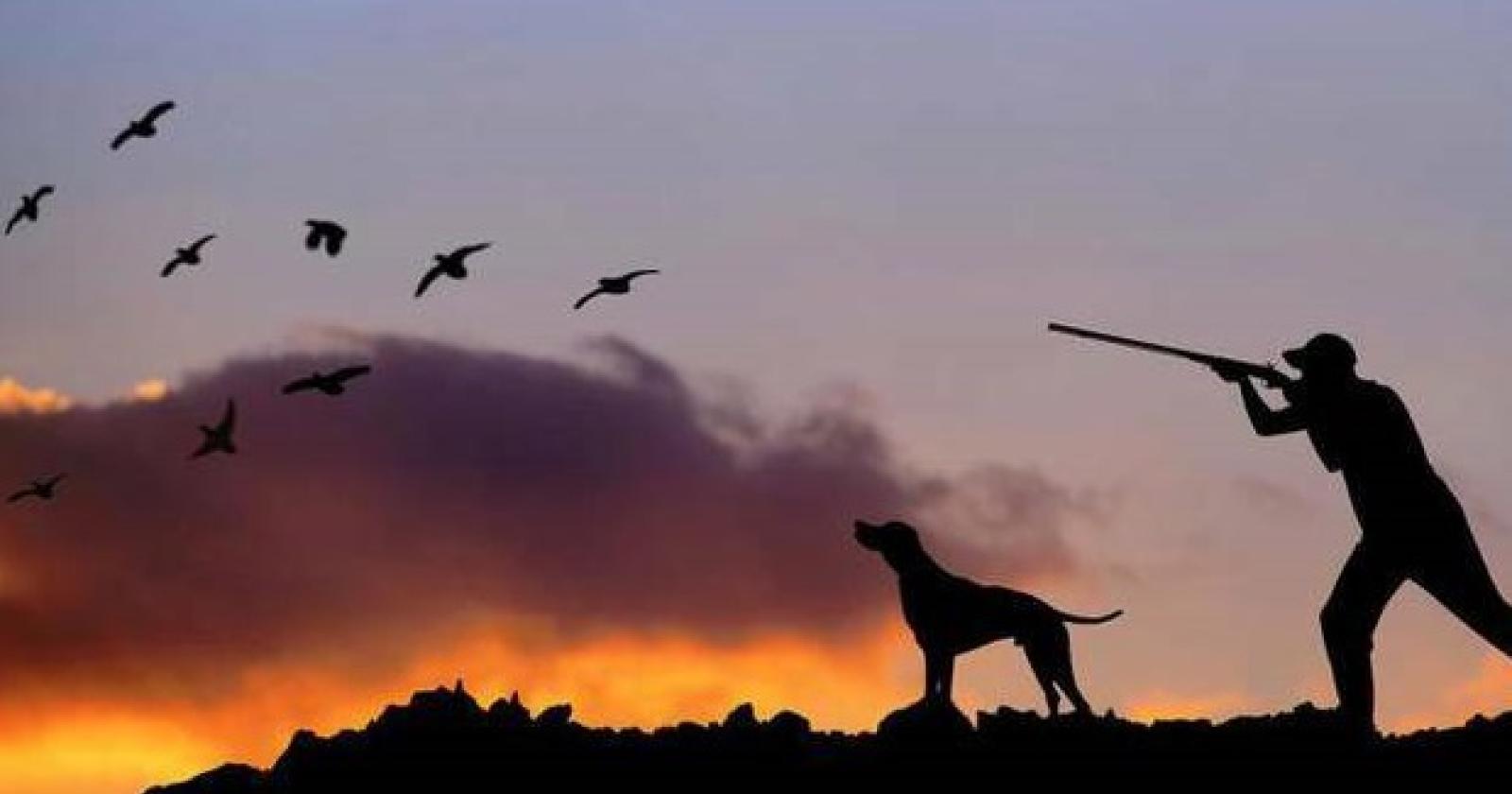 Colpo di scena, il Tar sospende la caccia 
