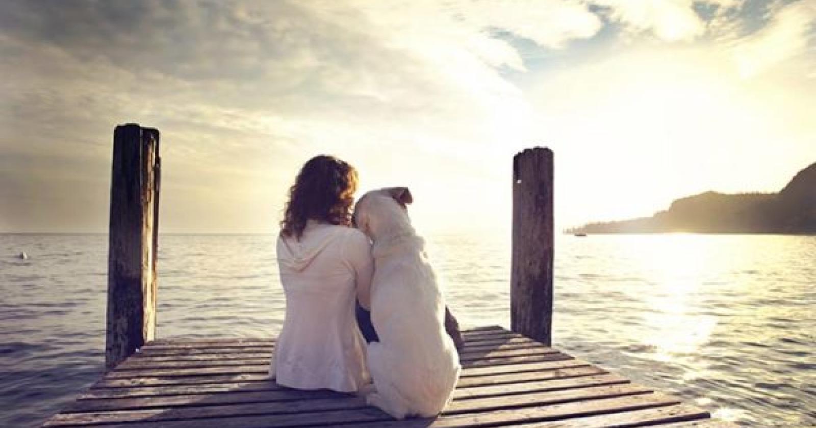 Assieme per sempre: ecco dove si può