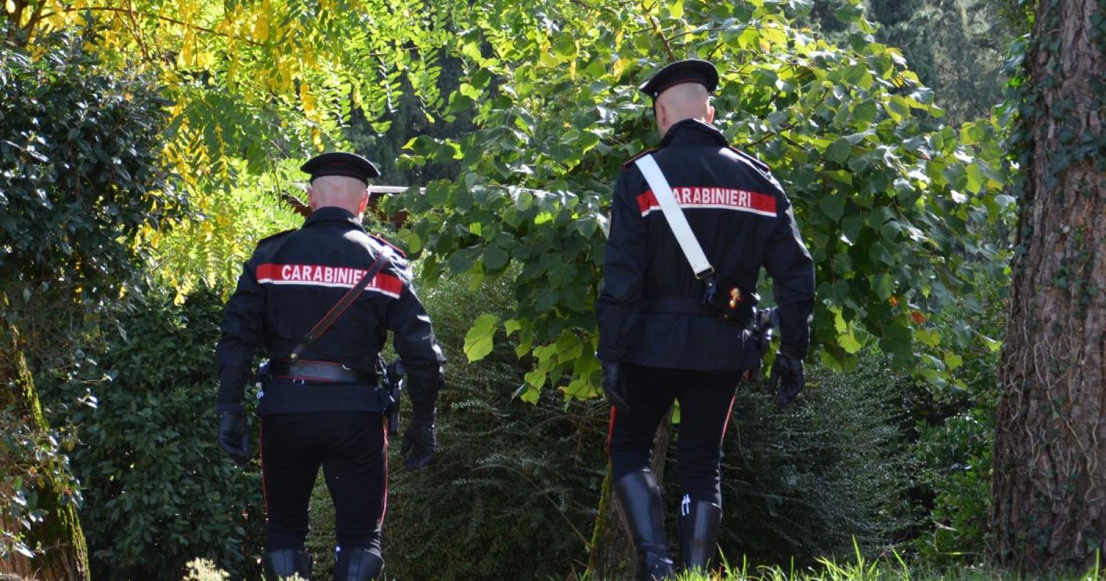Orrore nei boschi: va a funghi, trova una morta