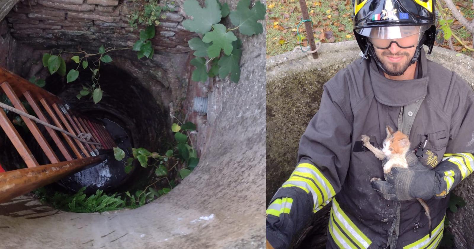 Micio precipita nel pozzo, lo salvano i pompieri