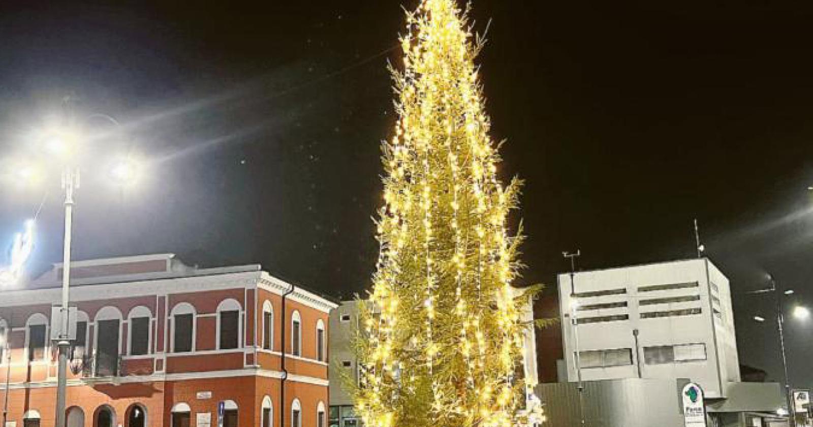 Ci saranno ben 11 alberi di Natale