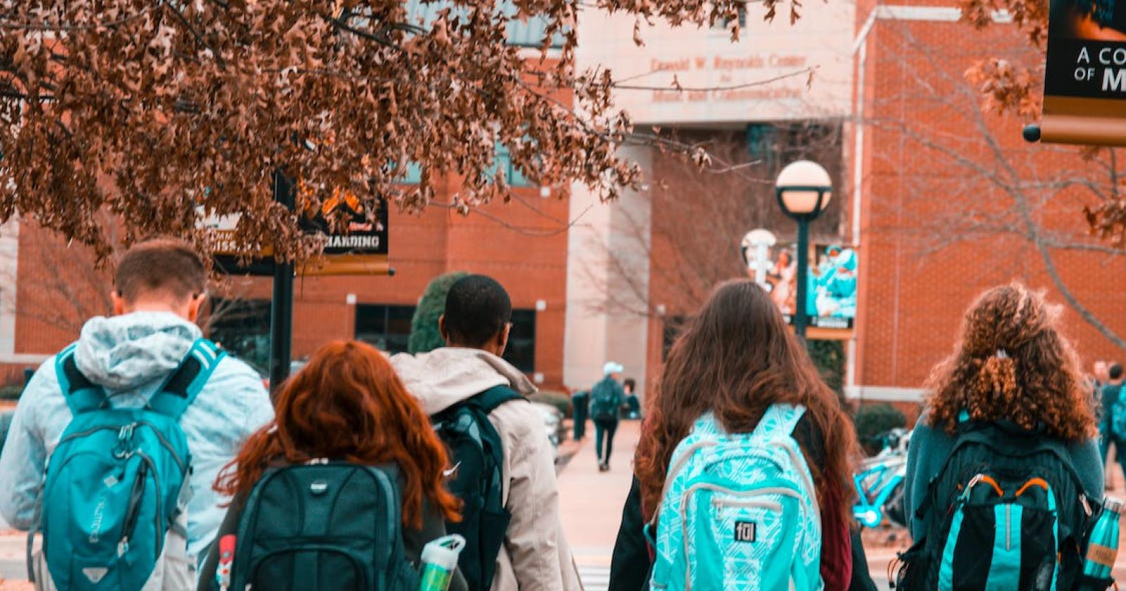 "All'università come alle superiori: un sogno"