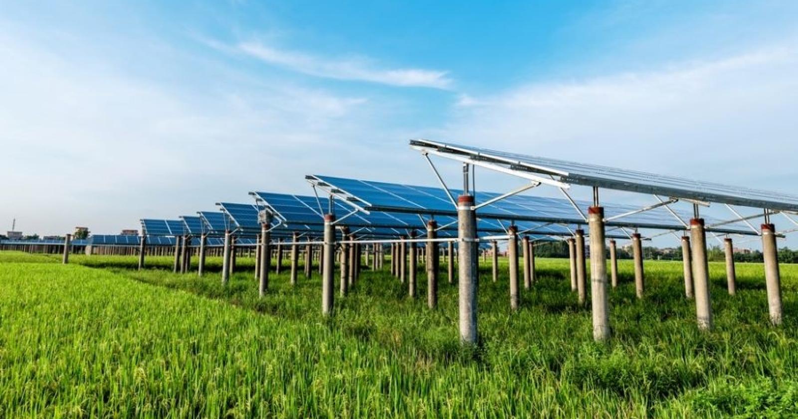 Il via libera al parco agrovoltaico in consiglio comunale
