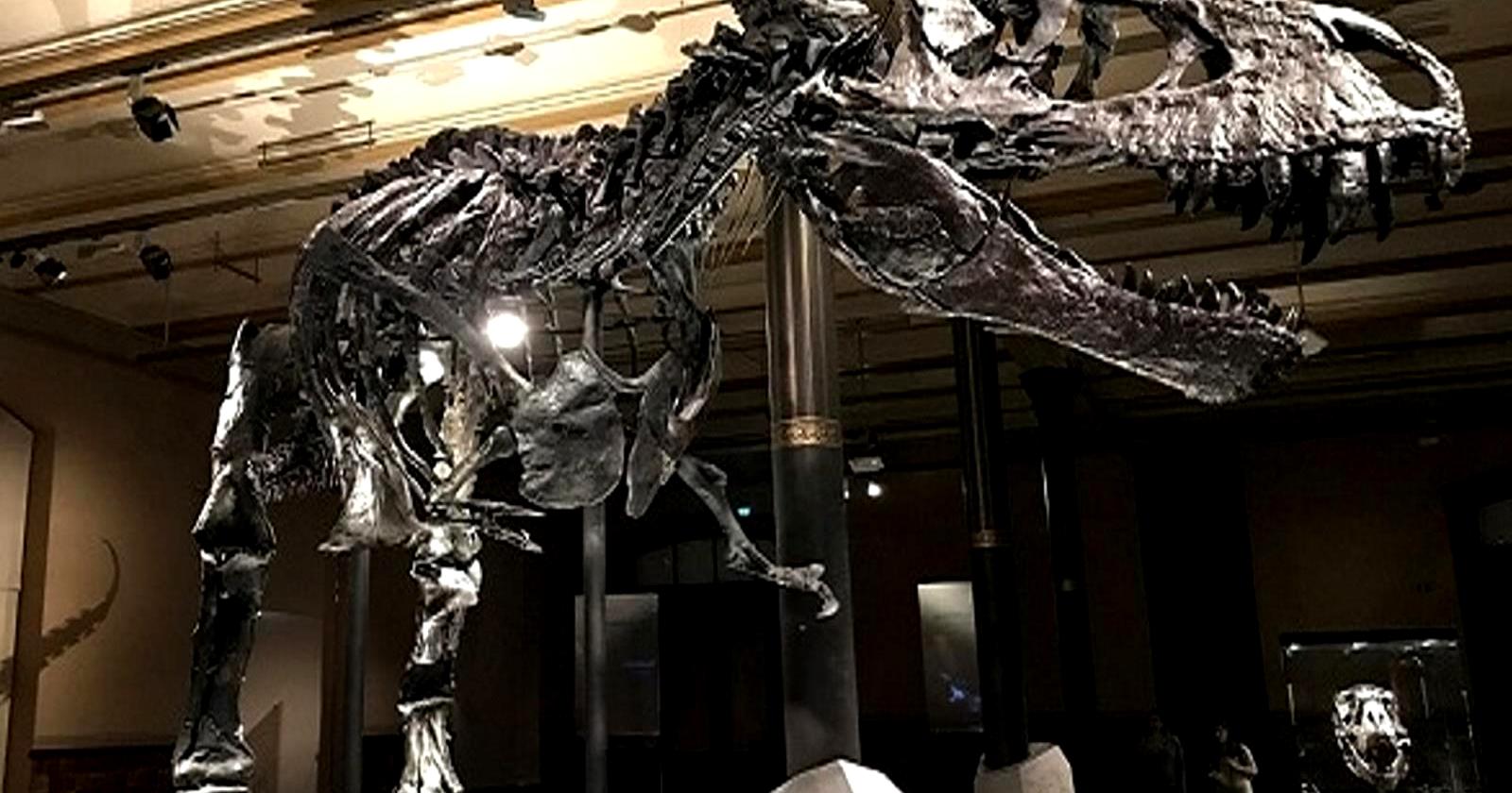 A Padova arrivano i dinosauri