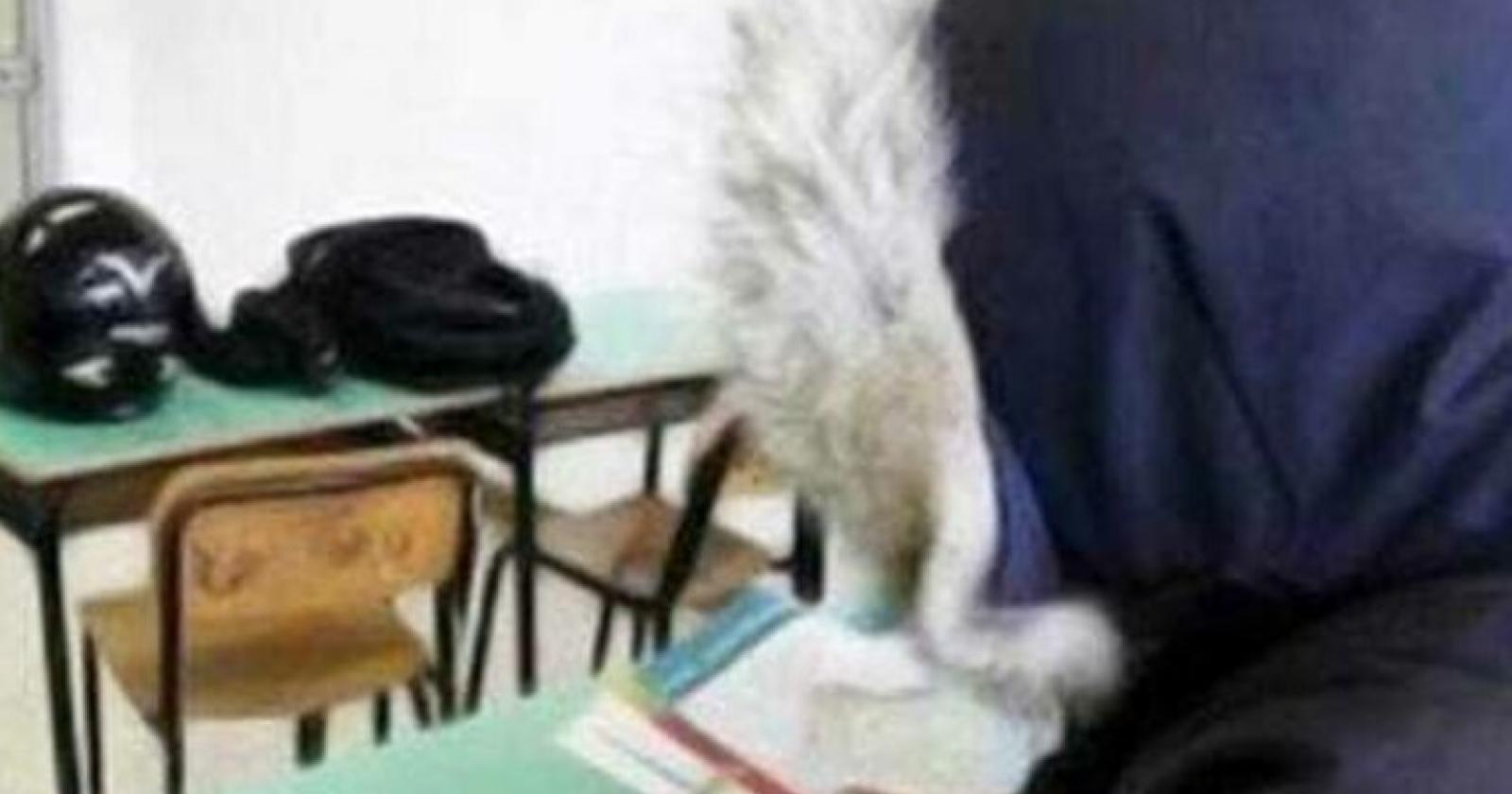 In classe a 14°: i ragazzi se ne vanno