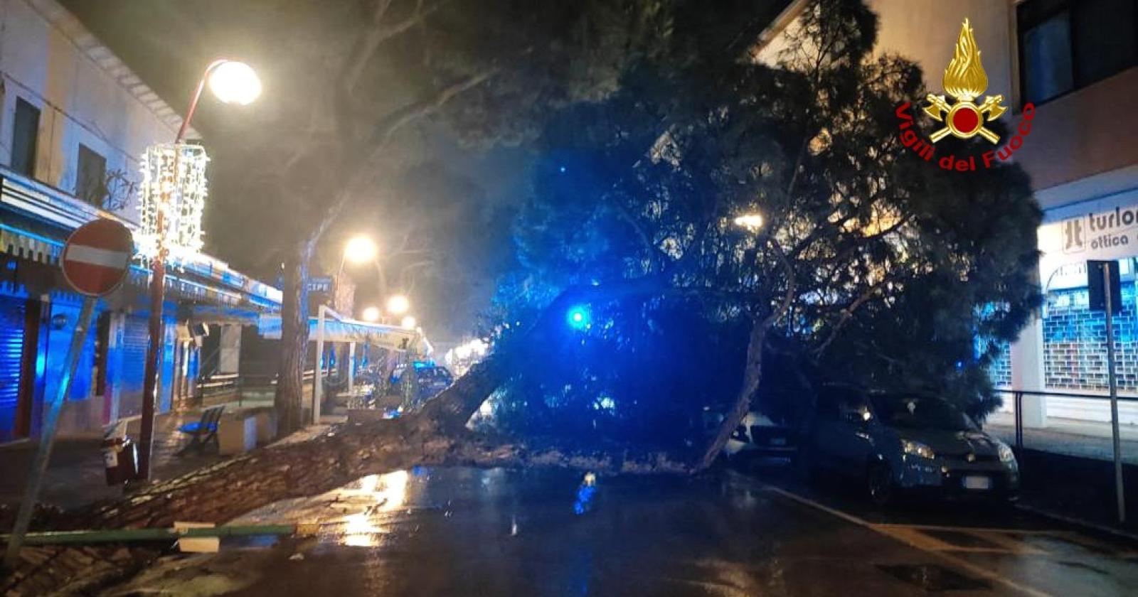Albero cade sulle auto, paura in strada