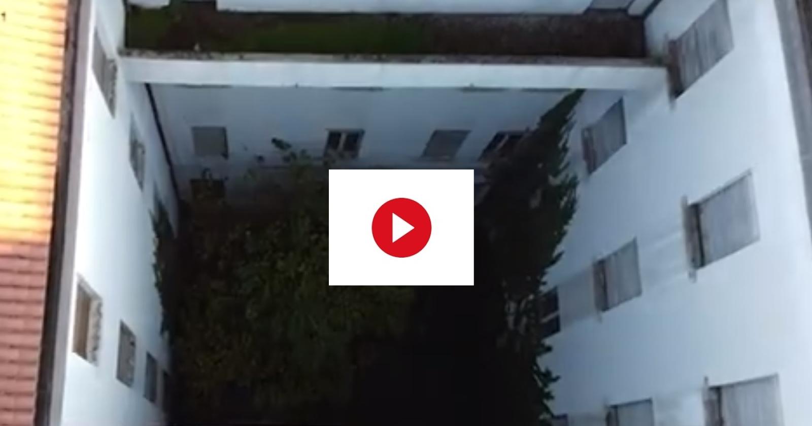 Il gigante di pietra lasciato solo