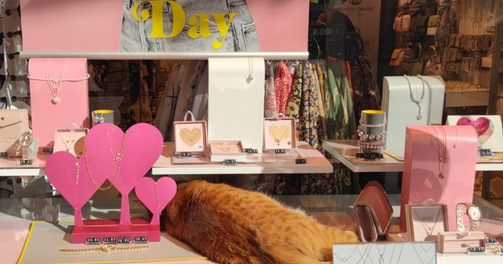 Consigli per San Valentino? Chiedetelo a Rossini!