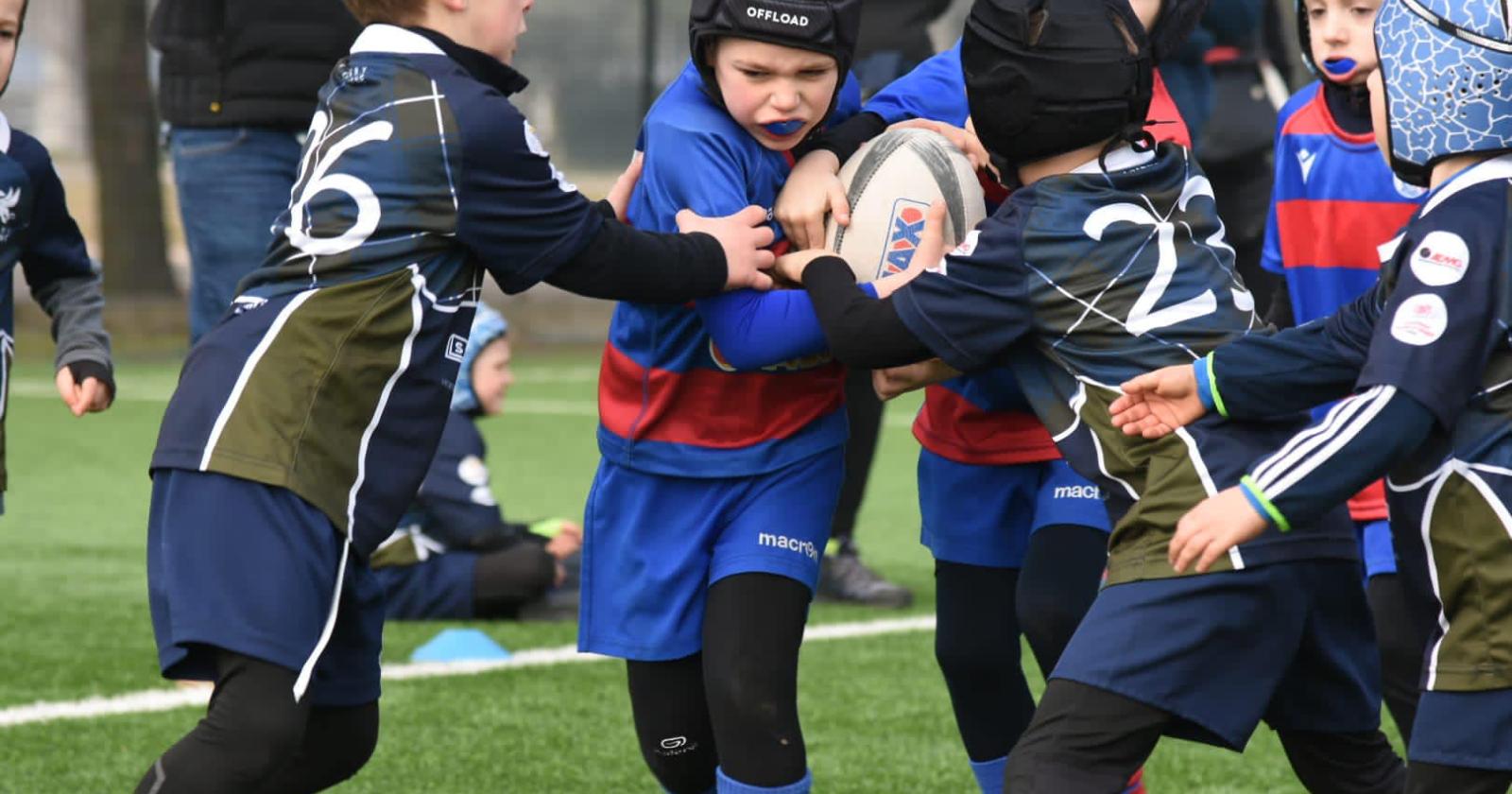 Monti Rugby Rovigo Junior: l'alba dei futuri Bersaglieri 