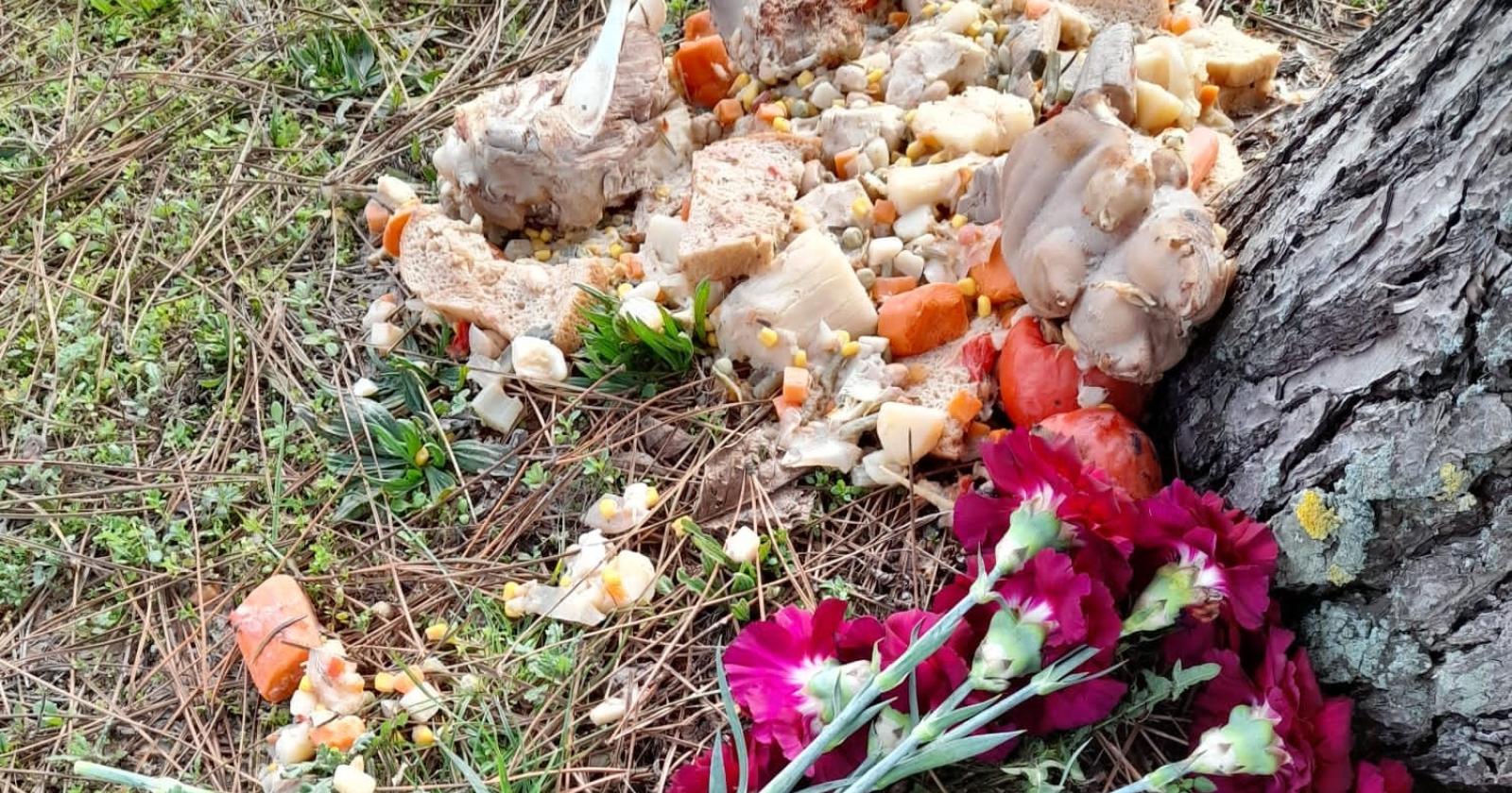 "Un rito esoterico nel nostro giardino" 