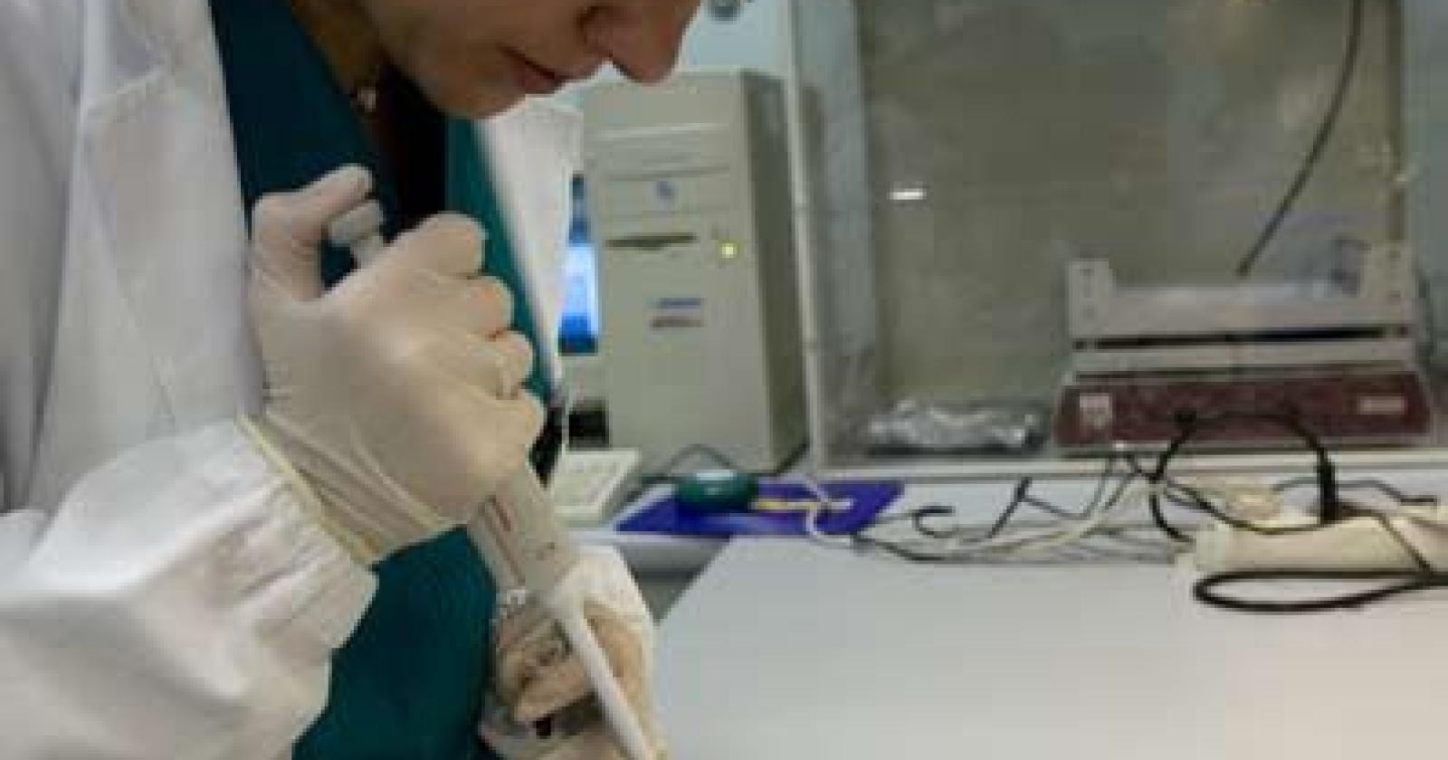 Trecenta, il centro per la fertilità ha fatto nascere mille bambini in quattro anni