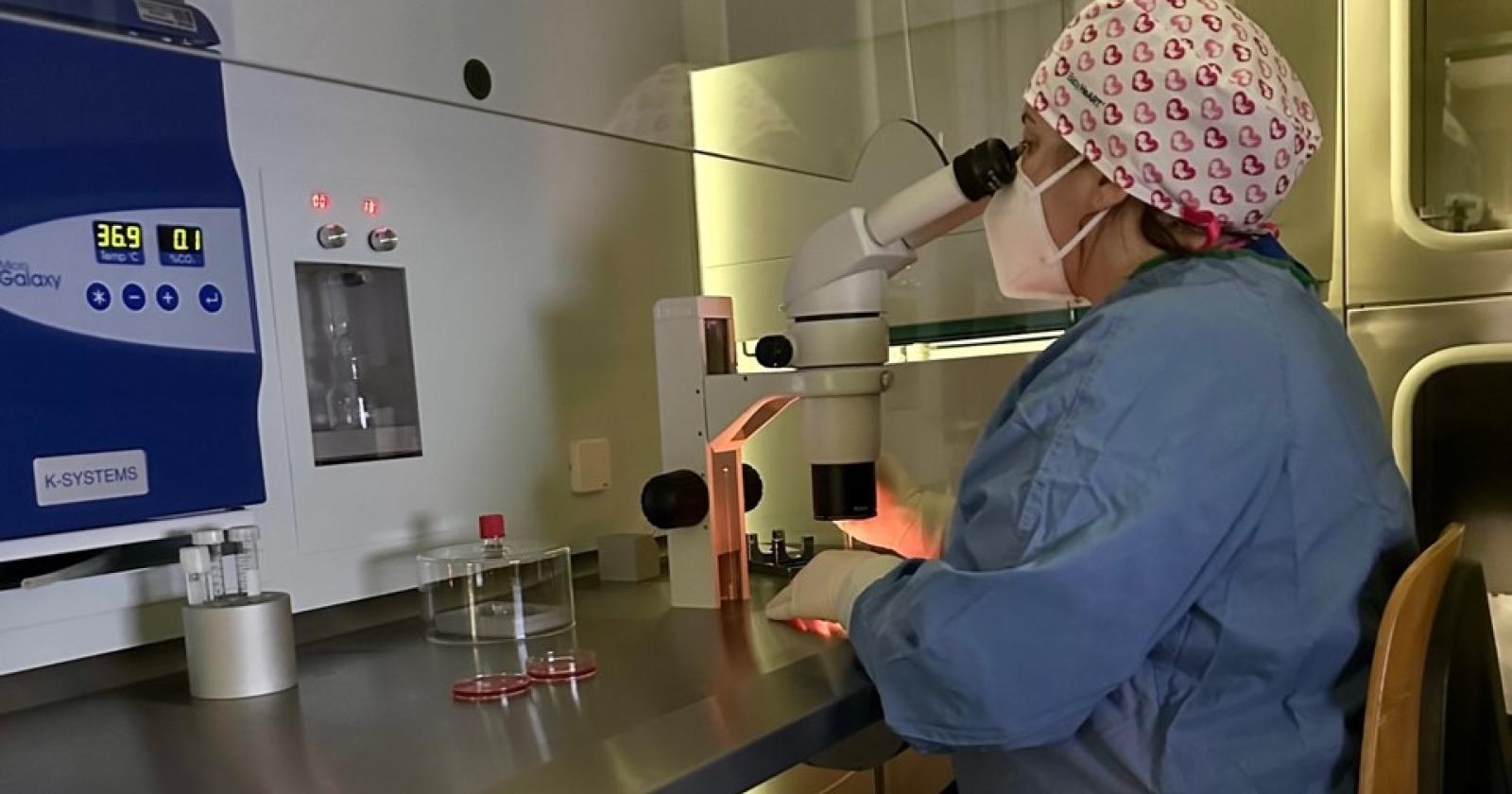 Trecenta, il centro per la fertilità ha fatto nascere mille bambini in quattro anni
