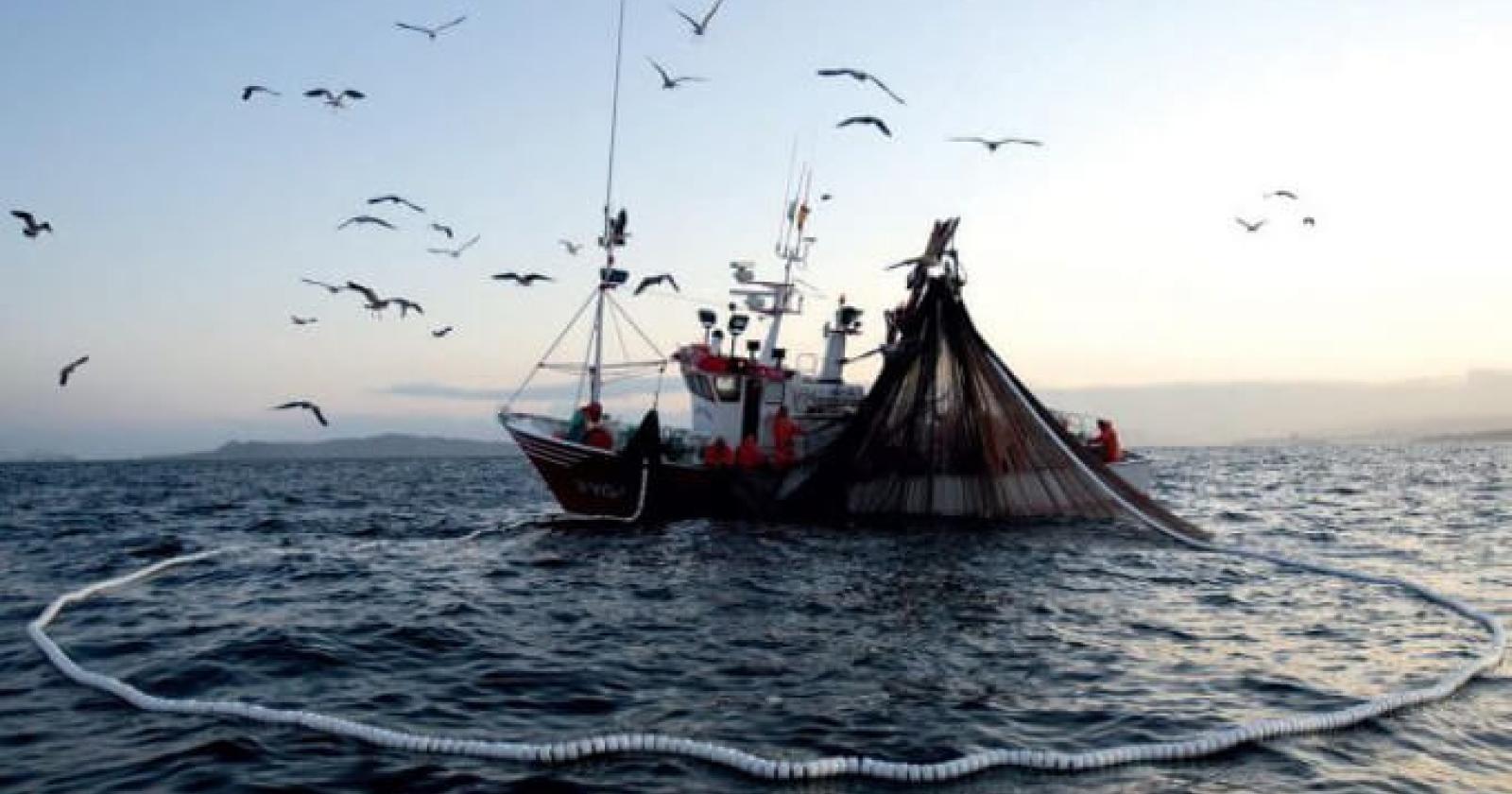 “Pesca: uniti per fare strategia”