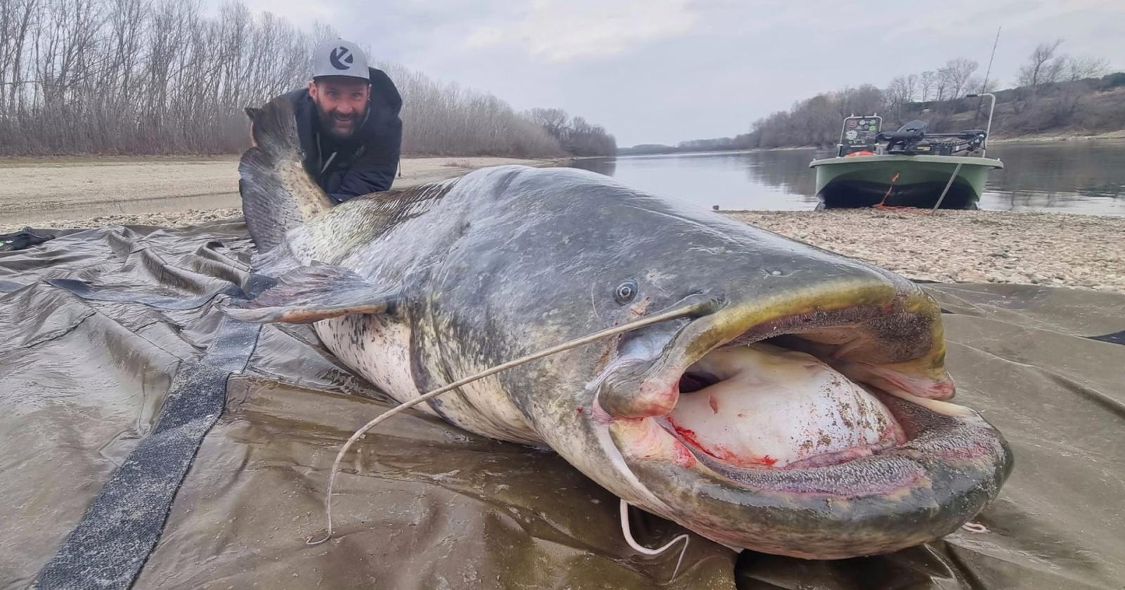 Il gigante del fiume
