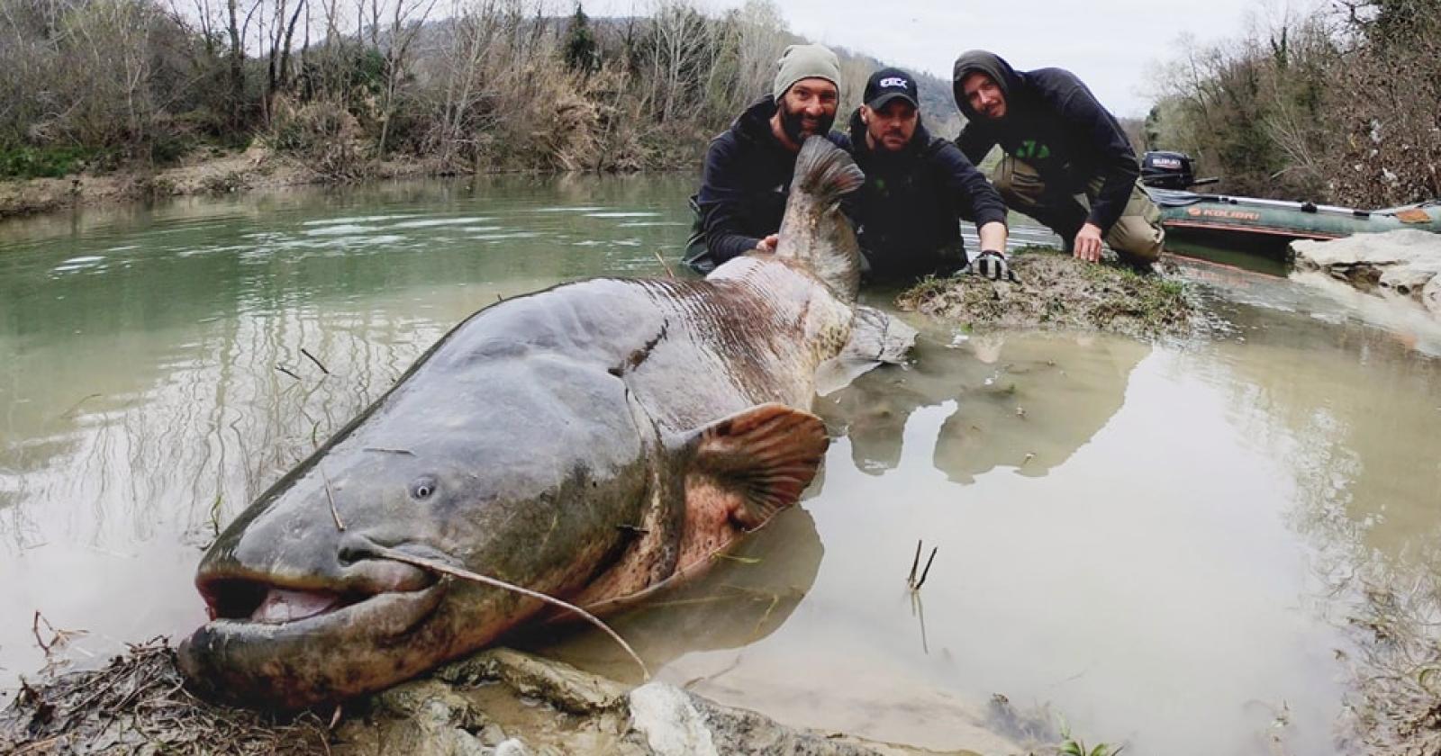 Dal fiume emerge un vero colosso