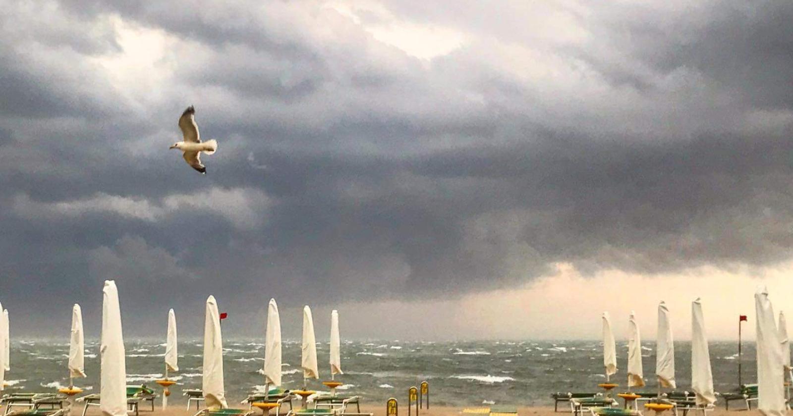 Allerta meteo, vento forte sulle coste polesane
