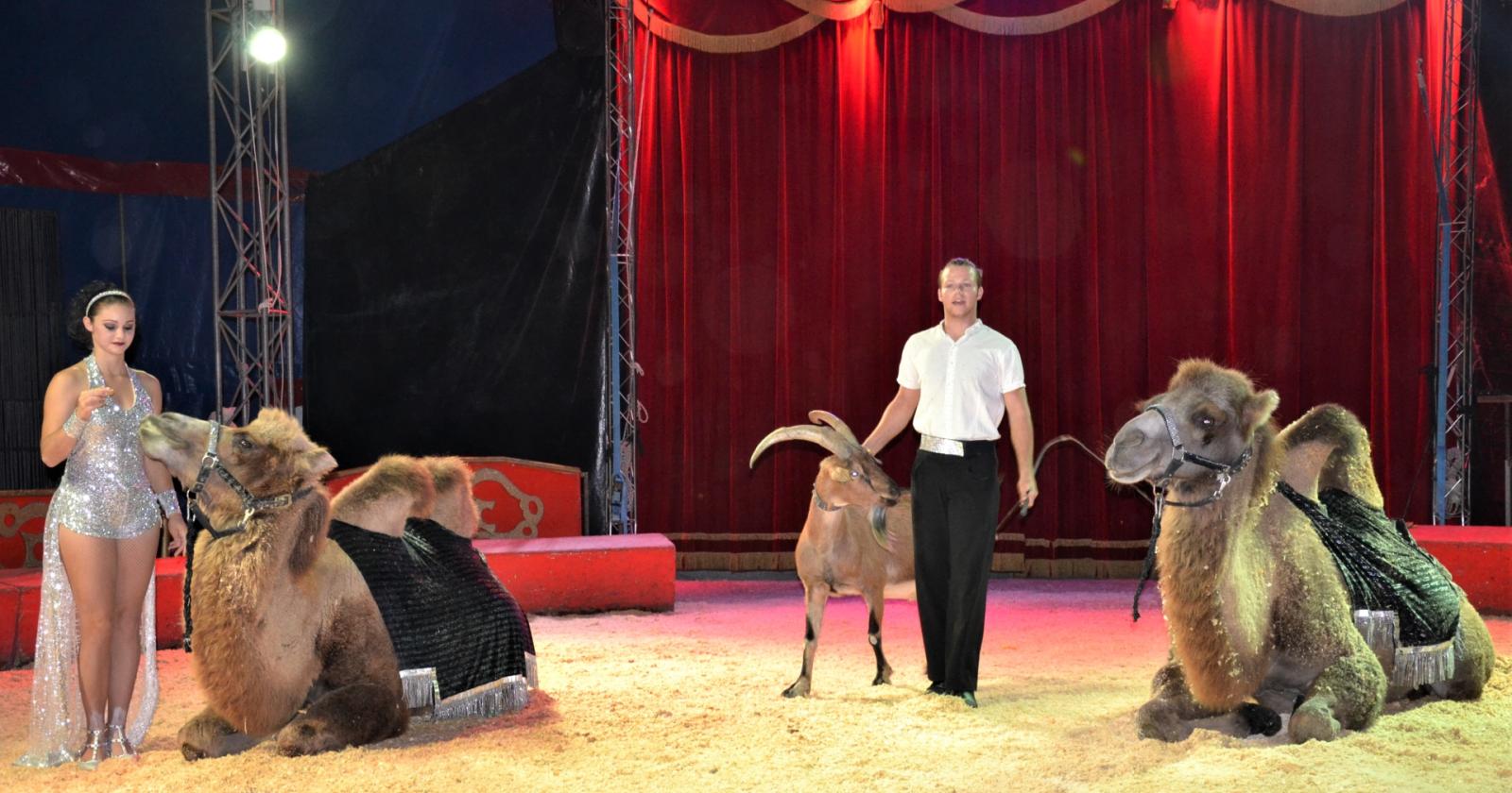 Torna il circo Busnelli e diventa parco all’aria aperta
