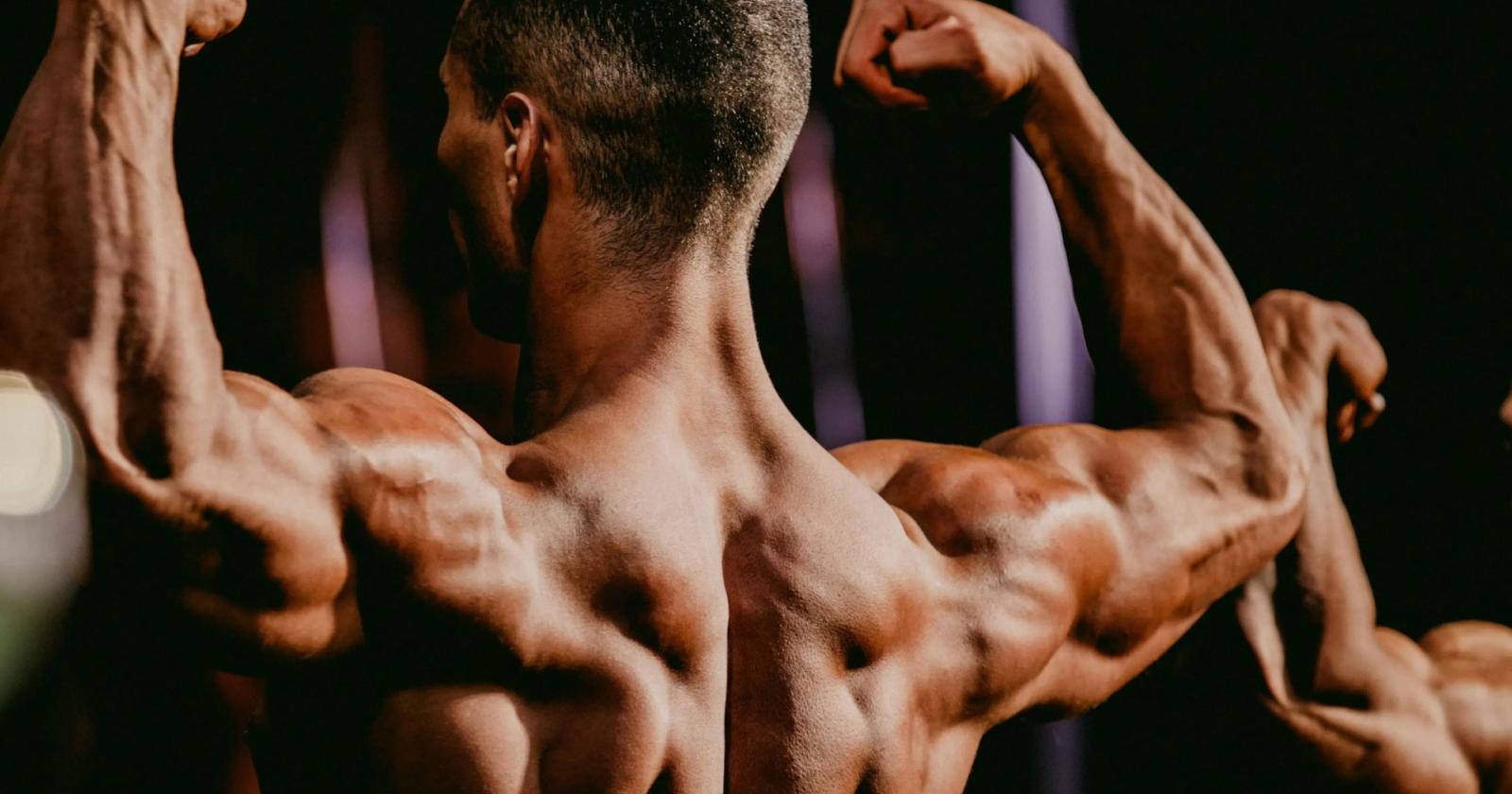 Il bodybuilding protagonista