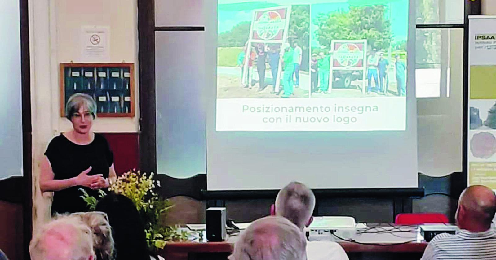 Apicoltore, i segreti del mestiere