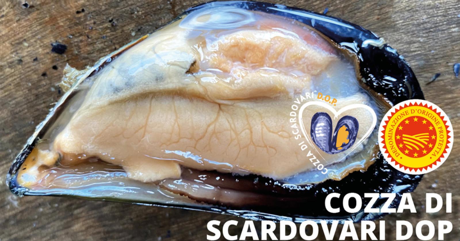 La Cozza di Scardovari arriva sulle tavole