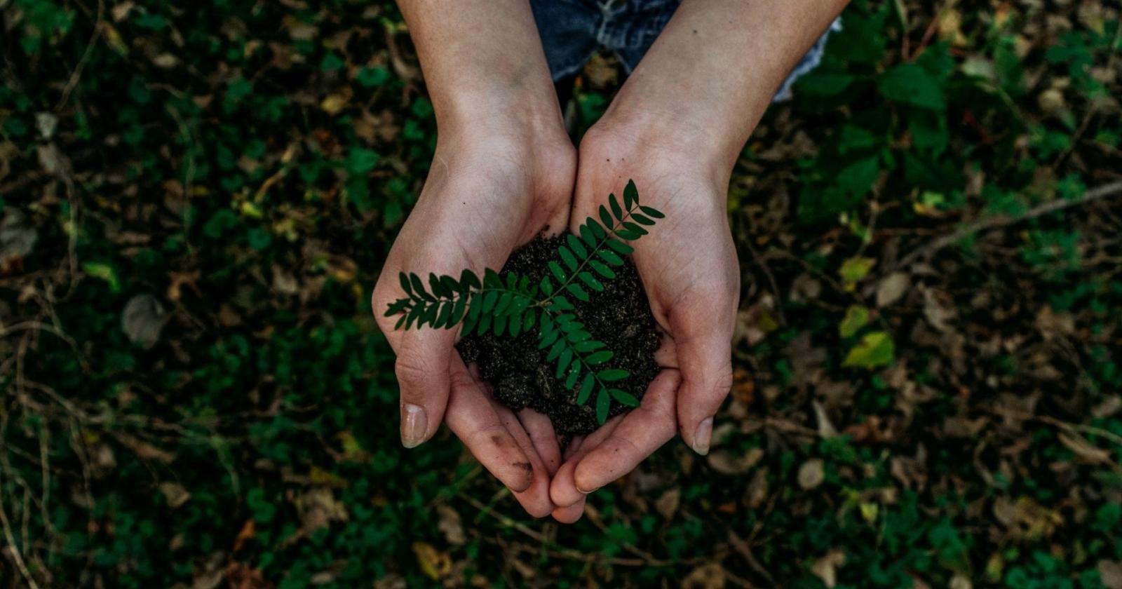 Come l'industria del gioco sta diventando più verde