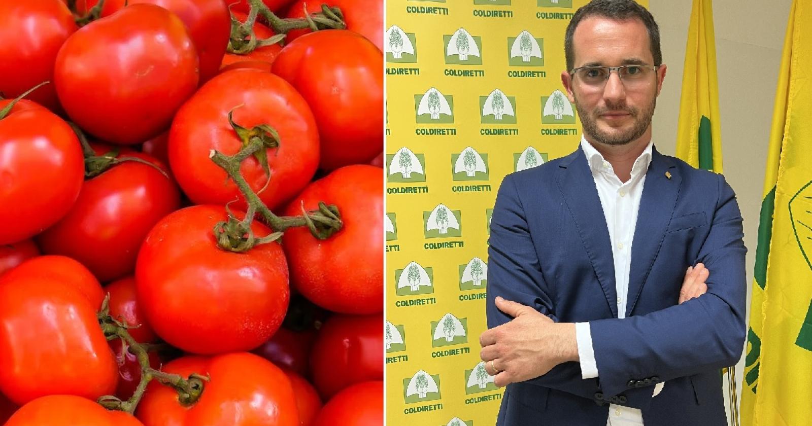 Il pomodoro del Polesine nei sughi made in Italy
