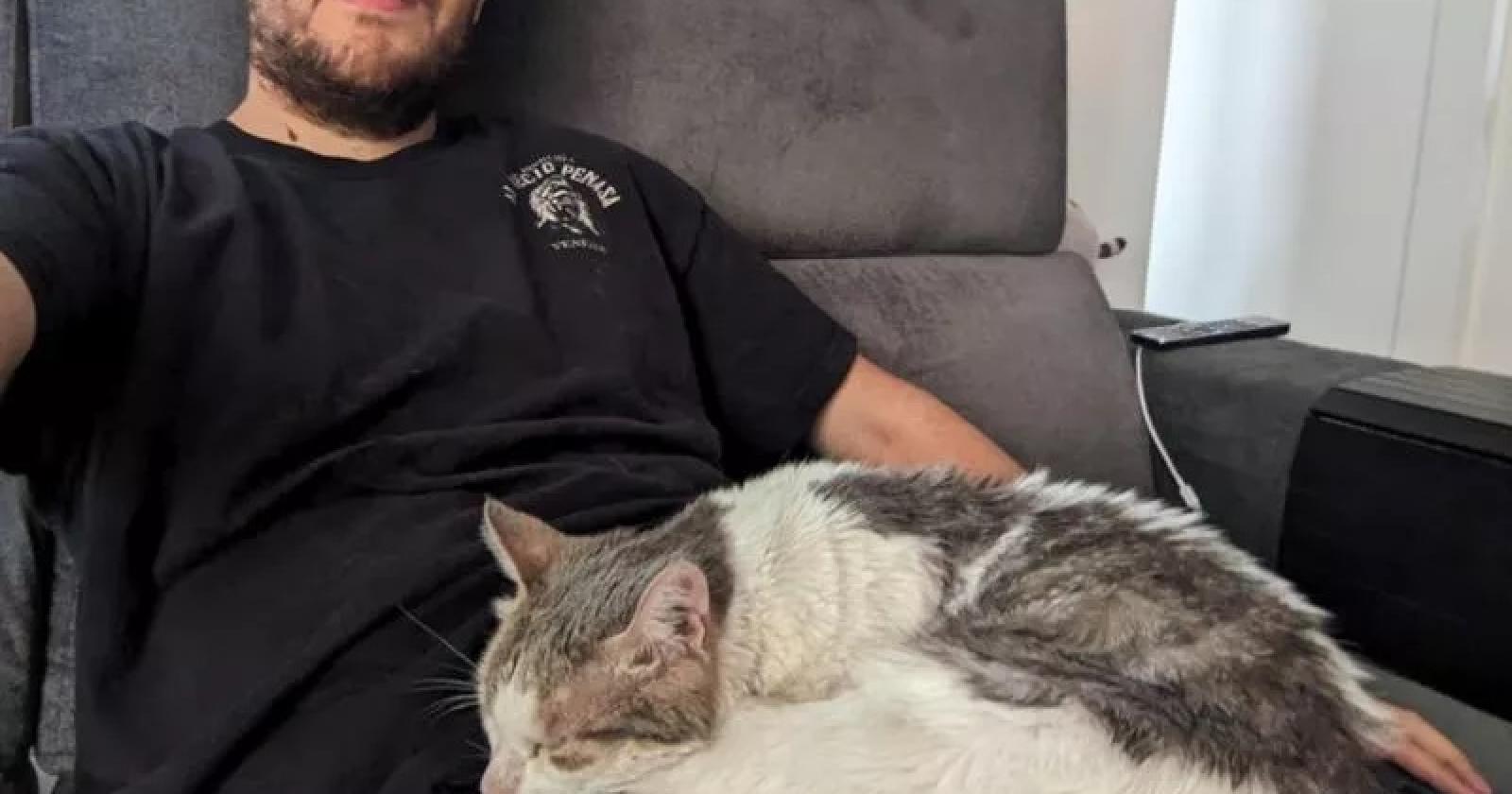 Gattino in fuga dopo l'incidente, ritrovato dopo 16 giorni