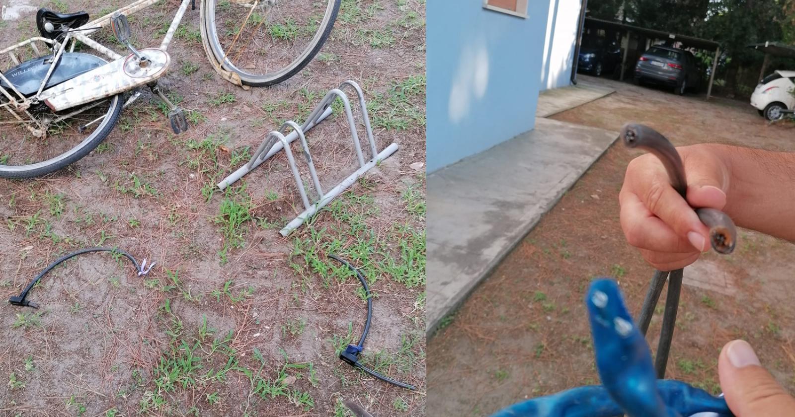 Entrano nei giardini e rubano le bici: raffica di furti
