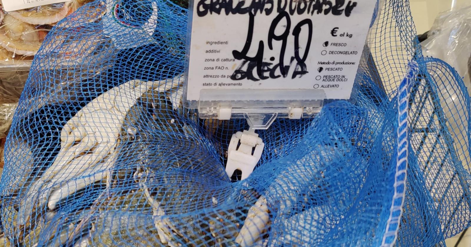 Il granchio blu greco invade i nostri supermercati