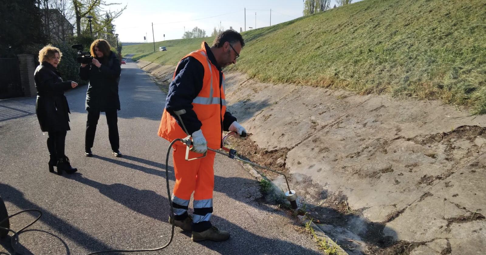 Comuni liberi dai pesticidi, il sindaco Coizzi scrive al ministro dell'ambiente