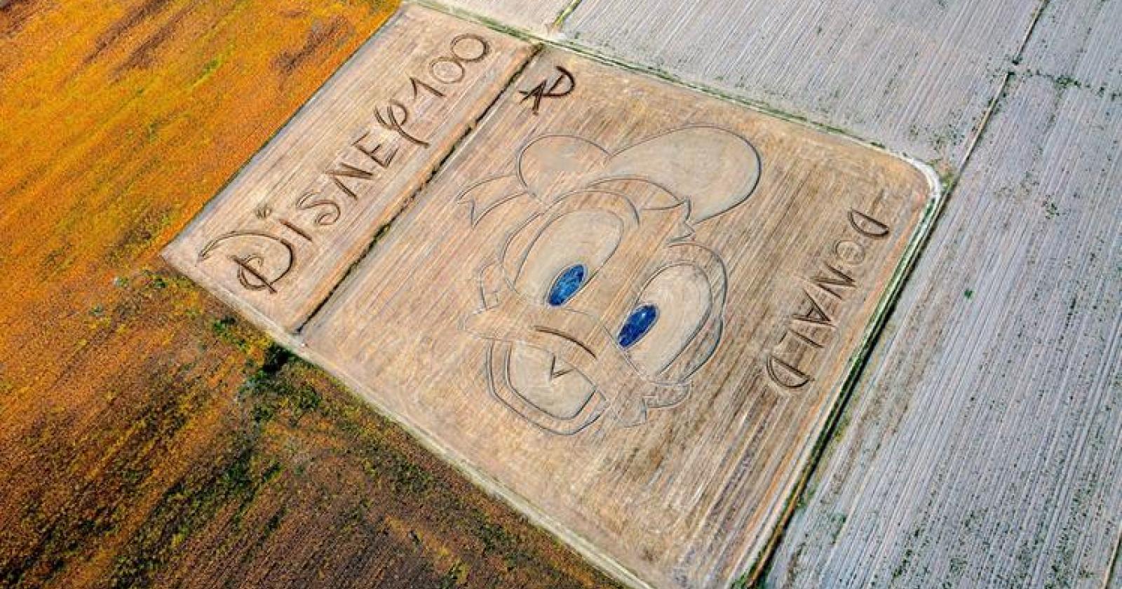 Un grande Paperino sulla campagna, visibile dal cielo